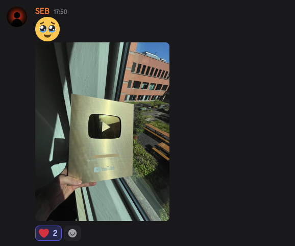 Seb holding his Gold Play Button for 1M subscribers